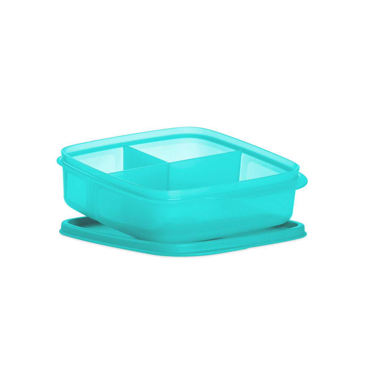 Container