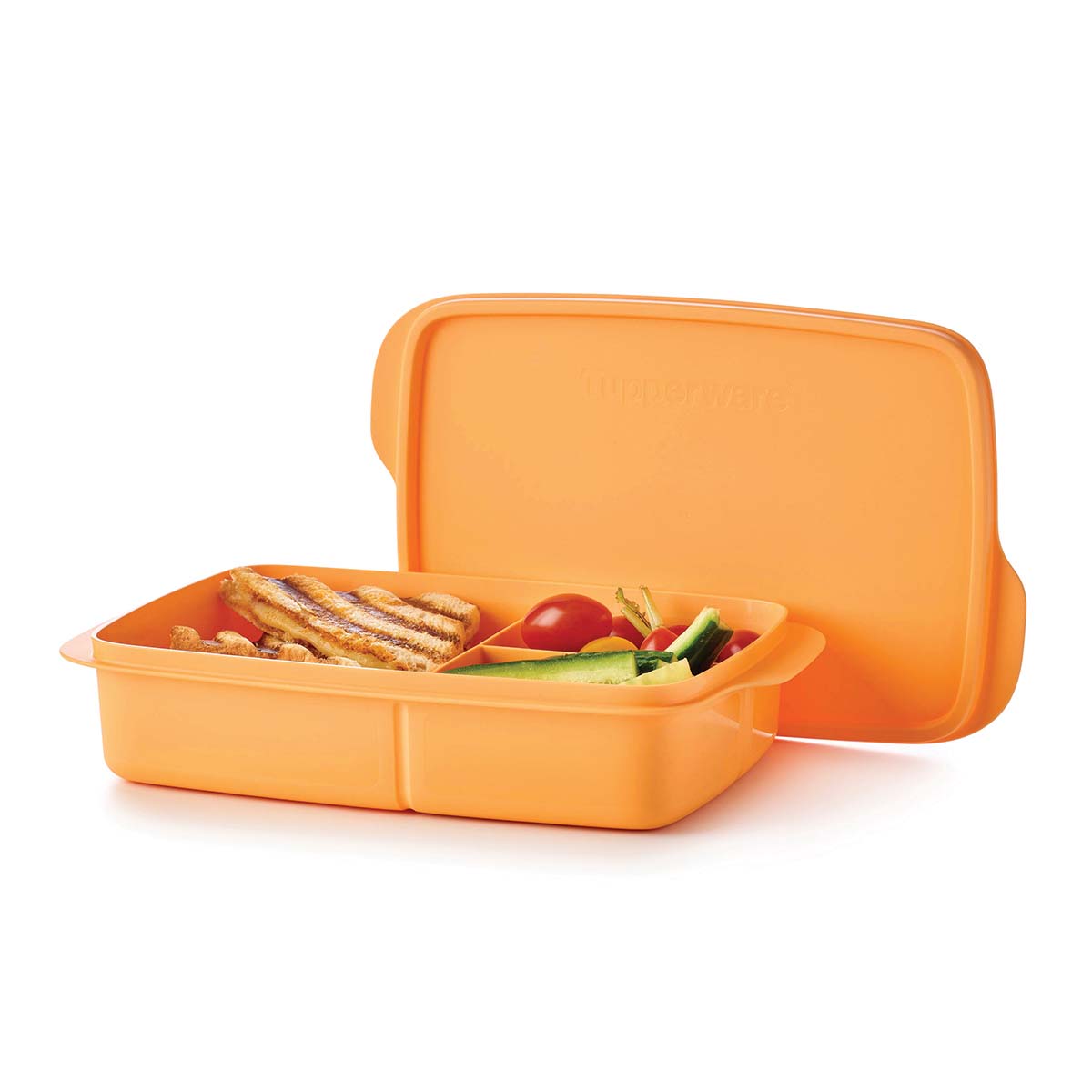 Large Container