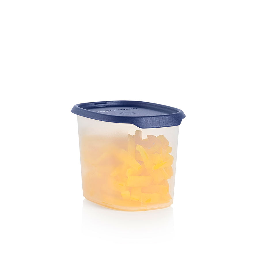 One Touch Fresh Oval 1.1L (Tokyo Blue)
