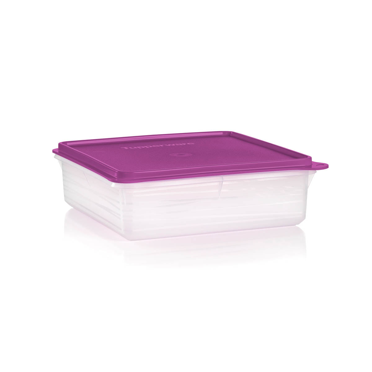 Container