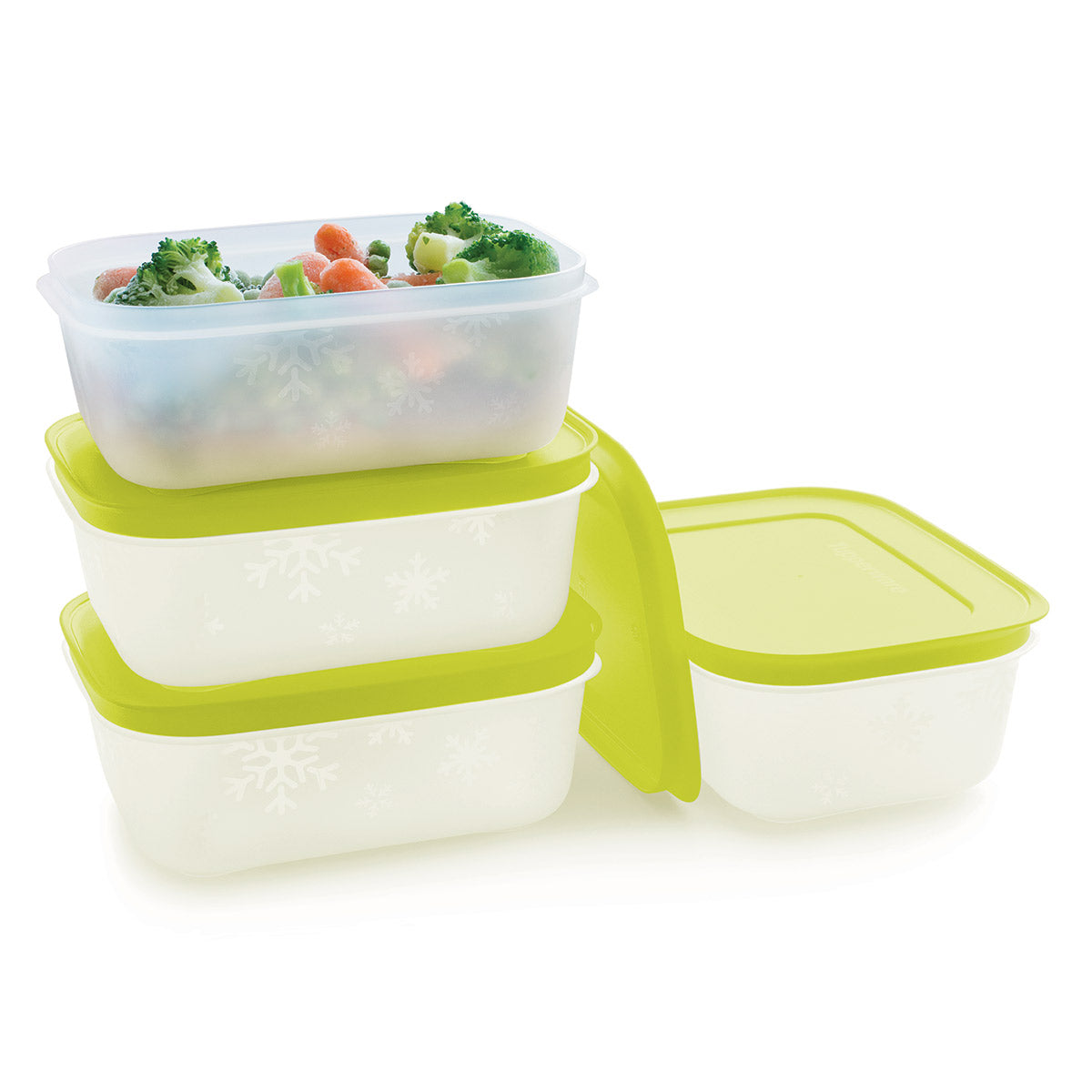 PLUS Small Shallow | 4-Piece Container Set