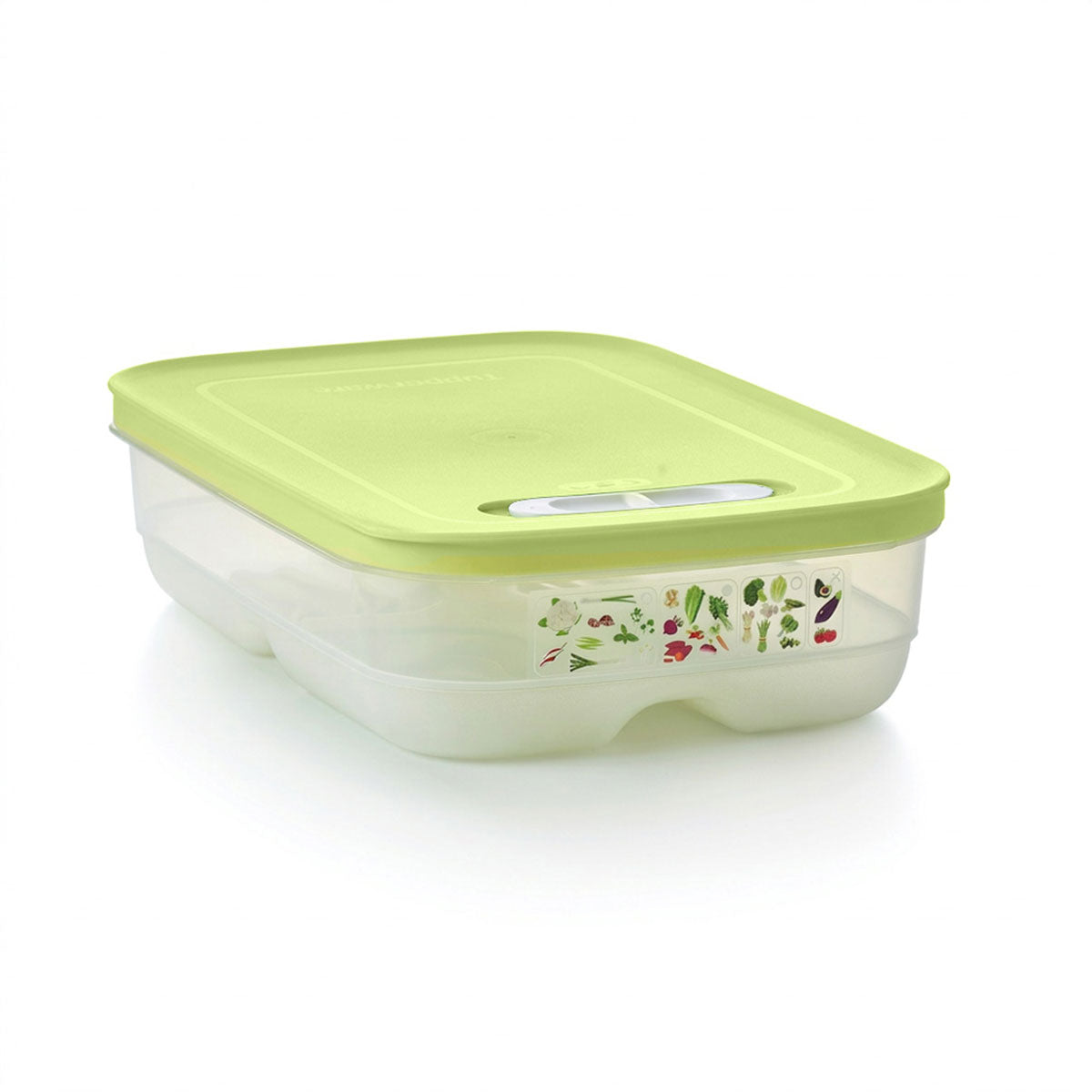 Medium | Produce Storage Container With Lid
