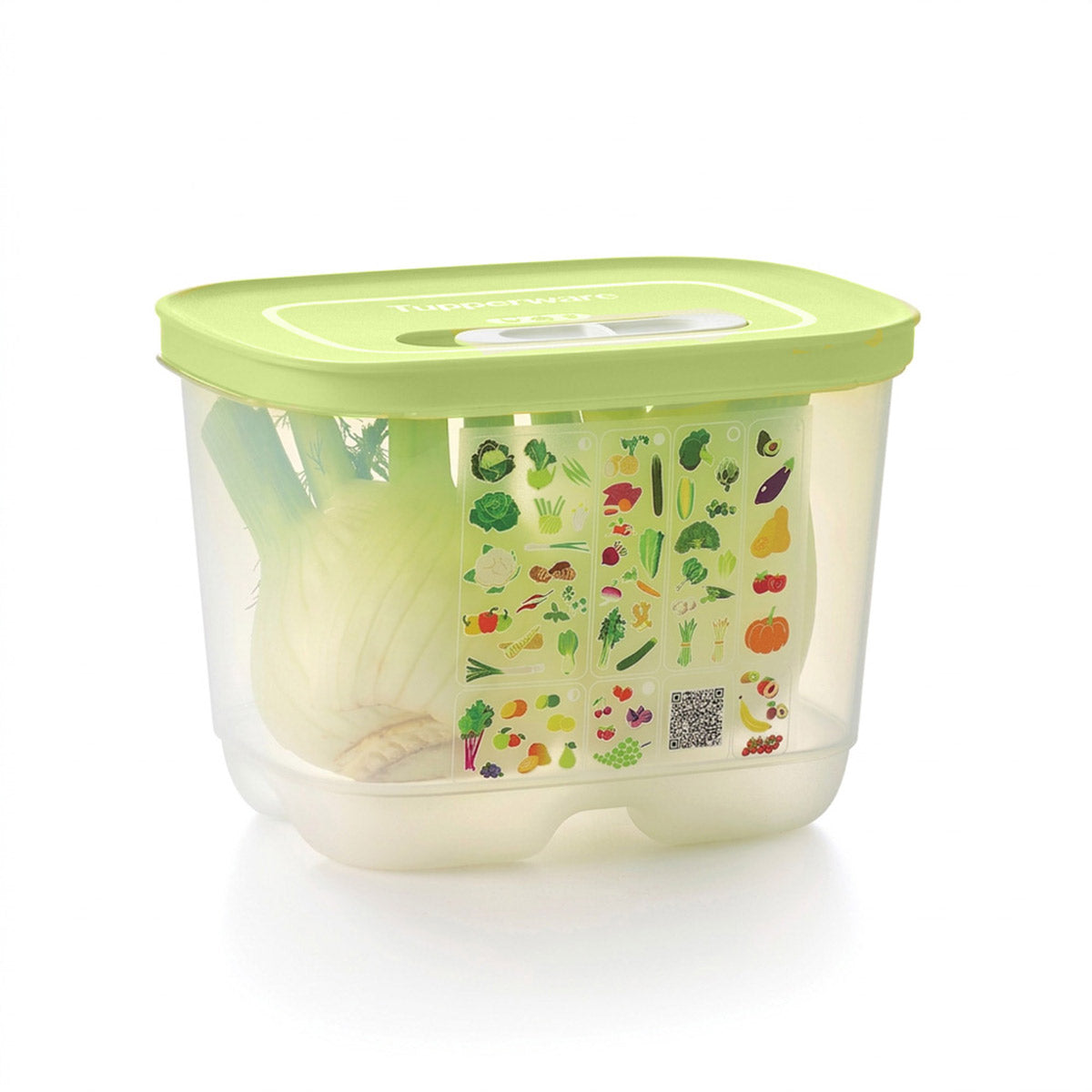 Small Deep | Produce Storage Container With Lid