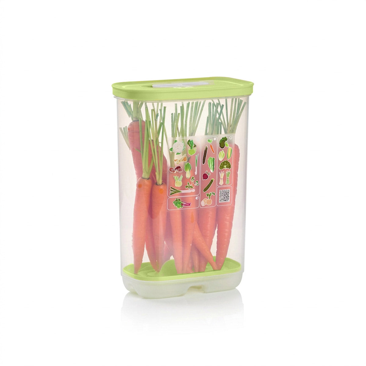 Vertical | Produce Storage Container With Lid