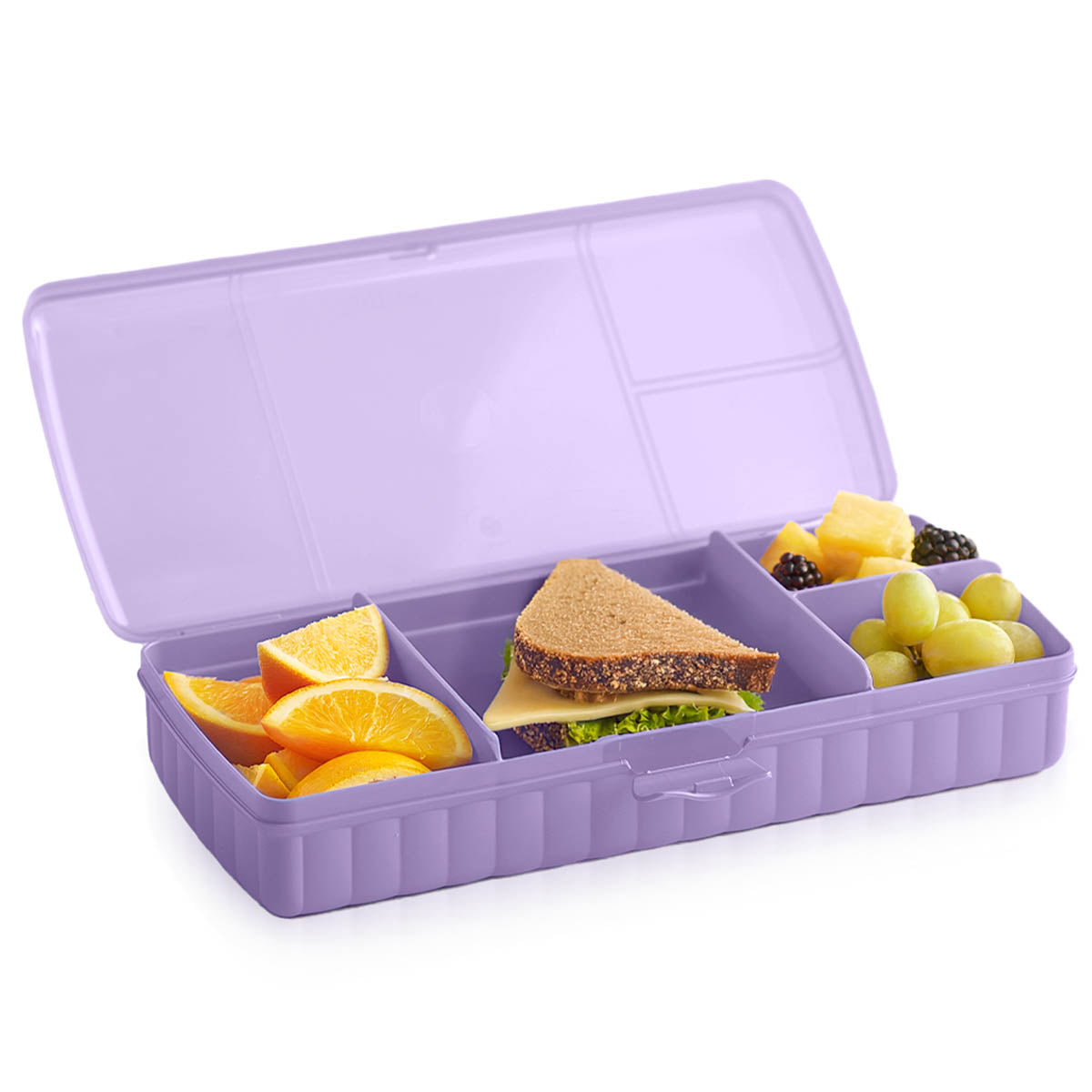 Lunch N Things container