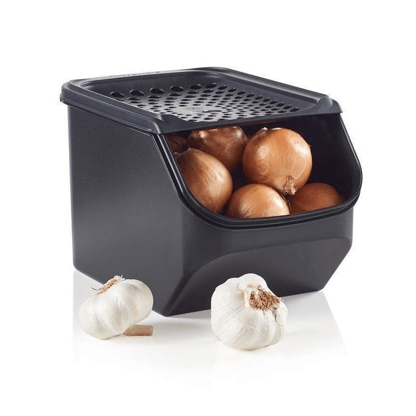 Container | Onion Bin | 5.75 qt (5.5 L)
