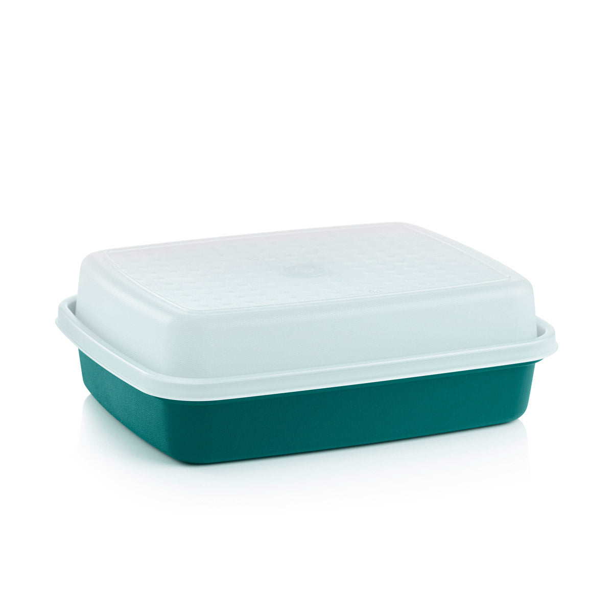 Marinating & Food Storage Container with Lid