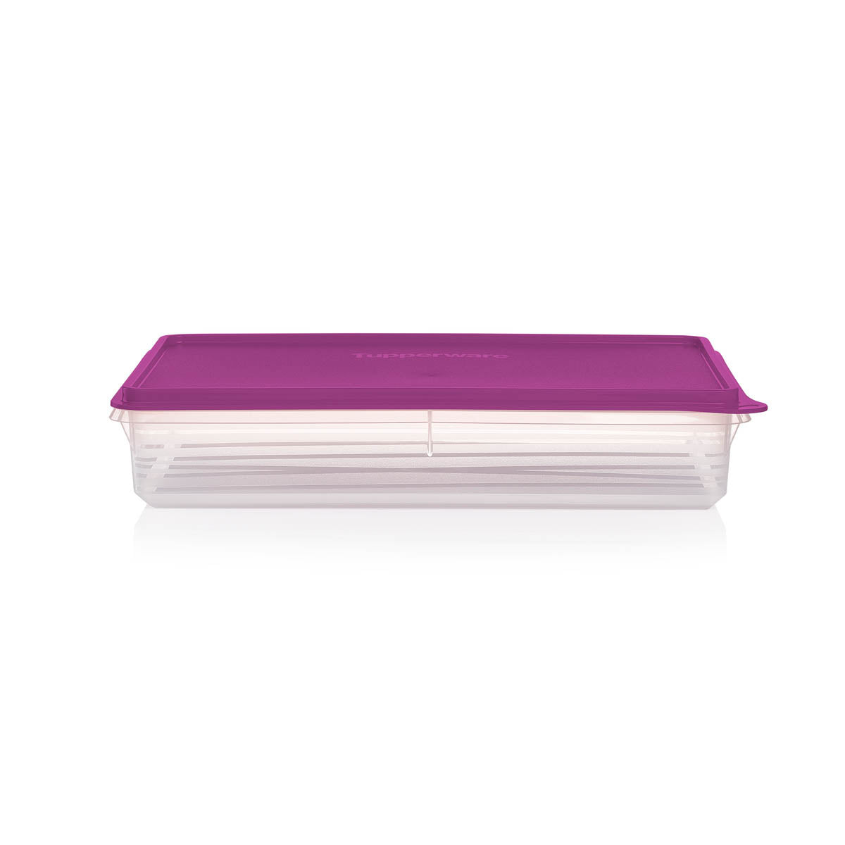 Large Airtight Food Storage Container