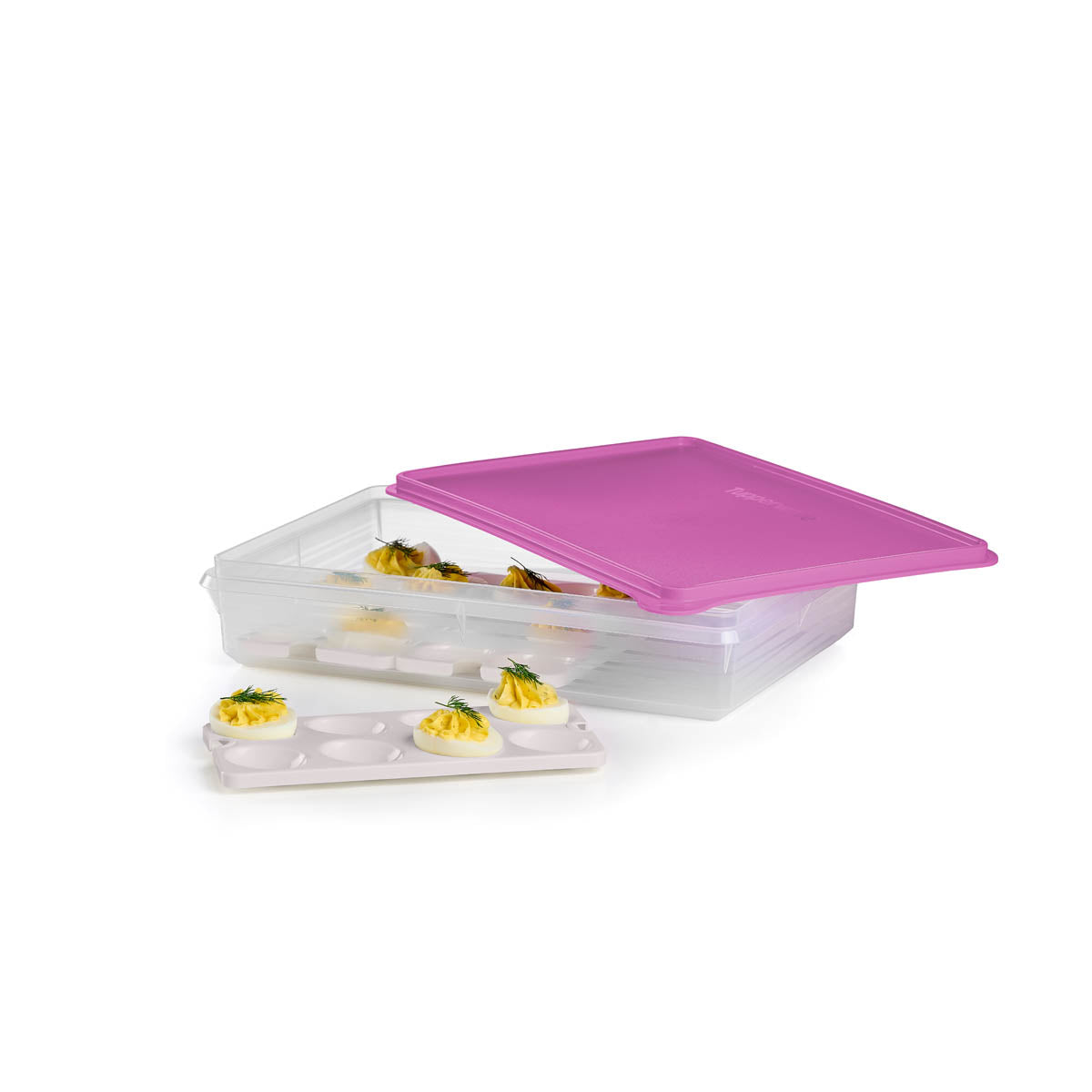Large Storage Container with 3 Egg Tray Inserts