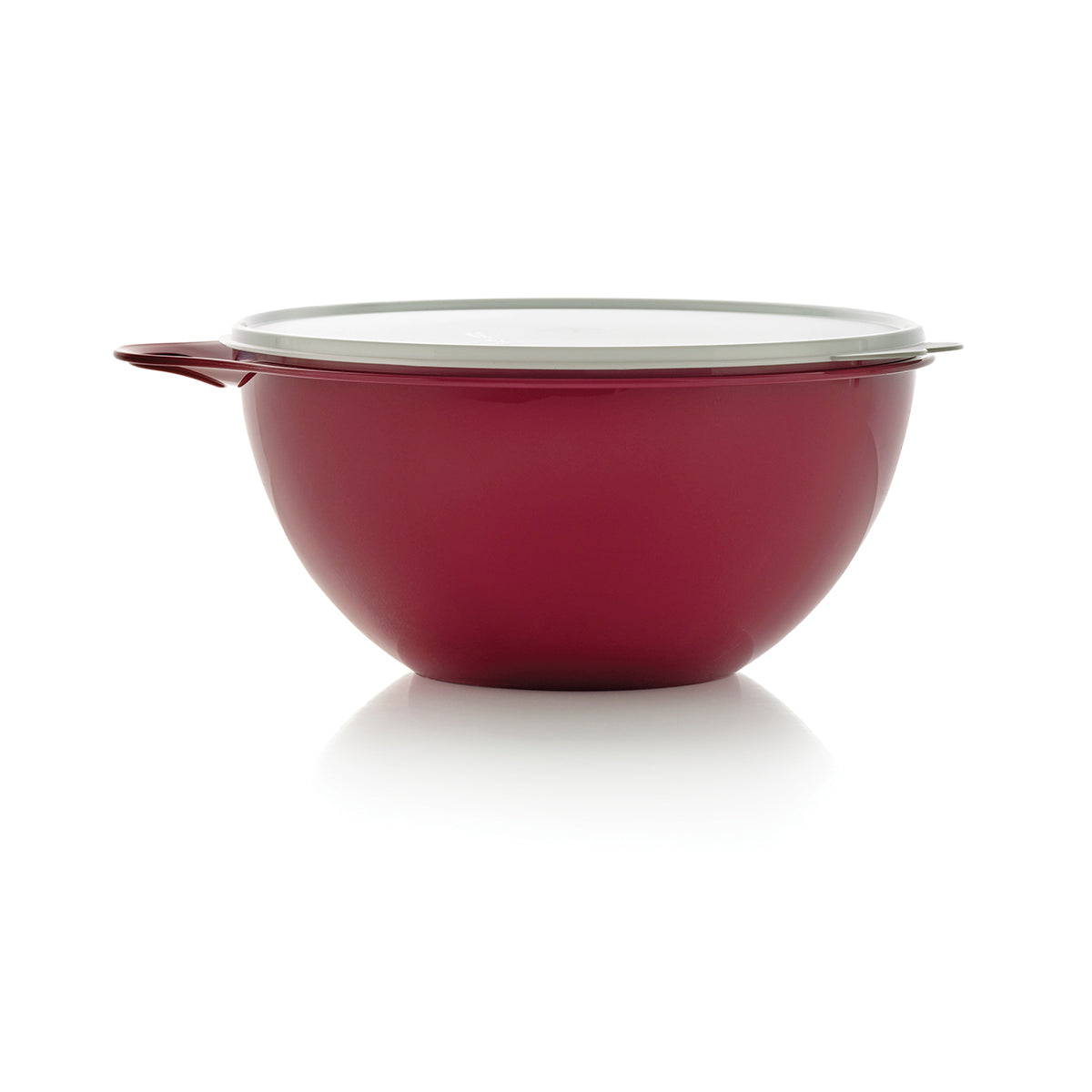 Medium Bowl | Airtight, Leakproof, 19-cups/4.5 L